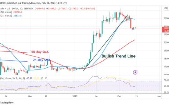 Bitcoin Price Prediction for Today, February 12: BTC Price Bounces above $21.7K