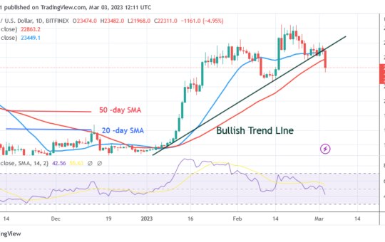 Bitcoin Price Prediction for Today, March 3: BTC Price Inevitably Drops to $22K