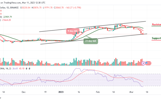 Bitcoin Price Prediction for Today, March 11: BTC/USD Retraces Below $20,000