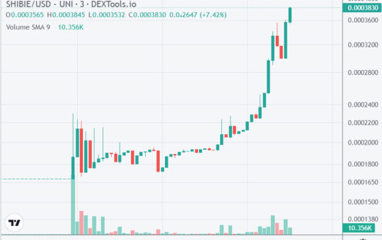 Cat Coin, Shibarium Token Pumping on Uniswap - Are They Scams? Best Meme Coin Alternatives