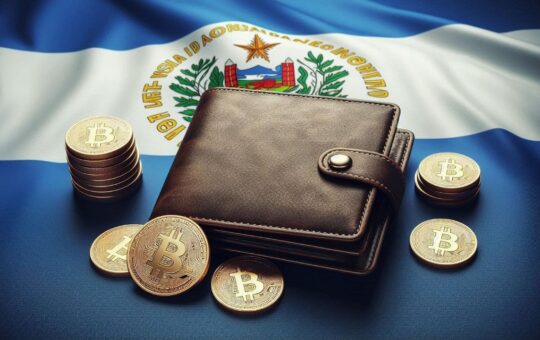 El Salvador’s Chivo Wallet Has Not Presented Any Financial Balances Since Its Creation