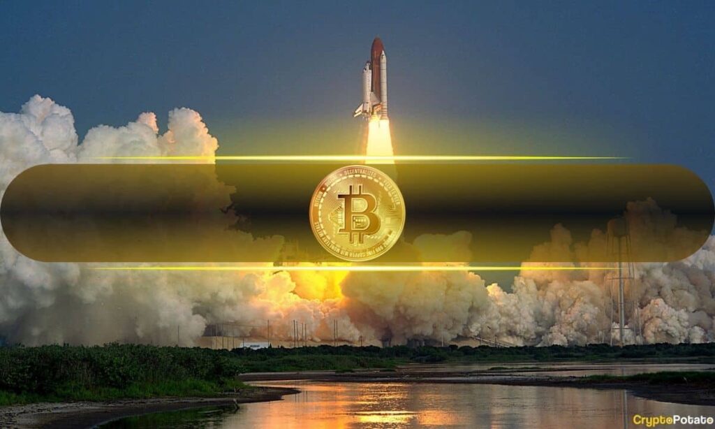 BTC Soars to $85K, DOGE Reclaims $0.3, SHIB Spikes 9% Hourly, as Liquidations Pile Up to $650M