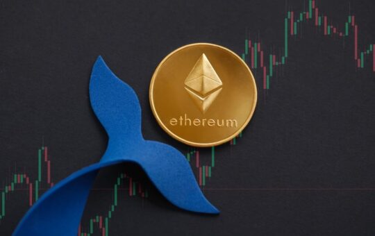 104 Whales Hold 57.35% of Ethereum: Santiment Analysis